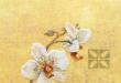 Вся роскошь восточных орхидей в схемах для вышивки крестом
